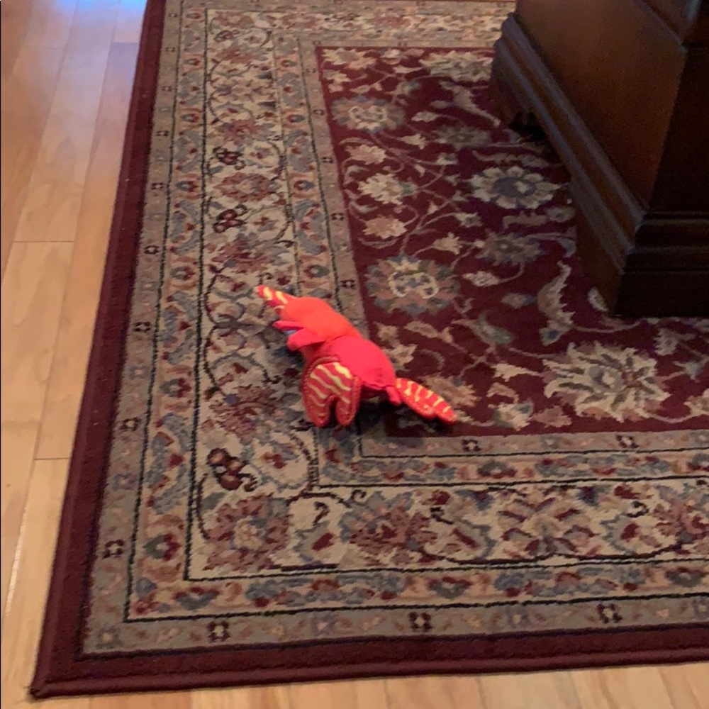 Meet your Posher, Marilda